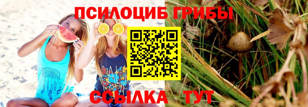 Галлюциногенные грибы Cubensis Тольятти