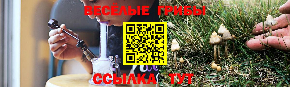 Галлюциногенные грибы Magic Shrooms  Вход с VPN  Тольятти 